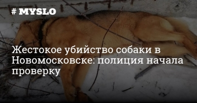 Трагедия в тени: Расследование жестокого убийства собаки в подмосковной деревне